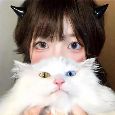 疯人巴士