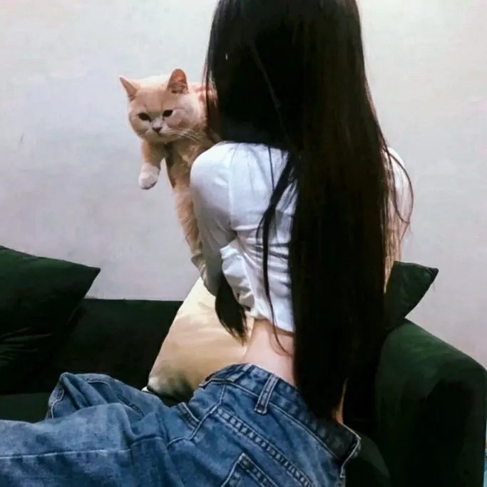 捕狼行动
