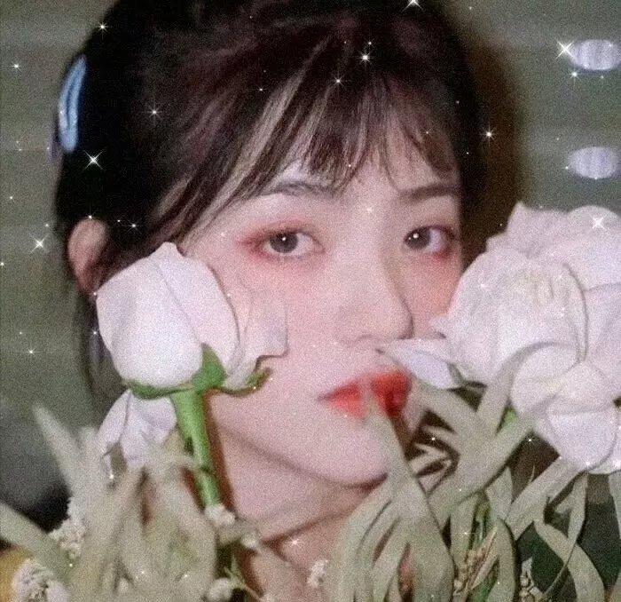 我的生存之道